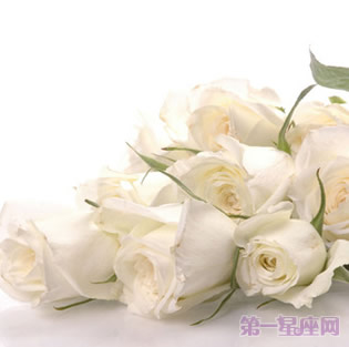 白玫瑰花语：送19朵白玫瑰代表什么意思？