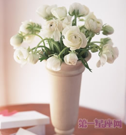 送什么花代表友谊？