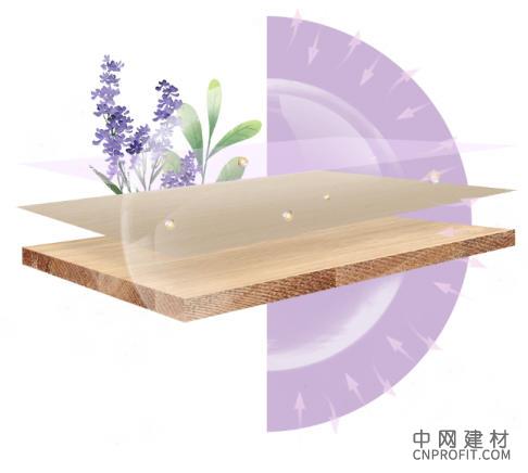 行业首创实锤！莫干山植物源释香板获权威认证，定义家居香氛新标杆 中国建材网,cnprofit.com